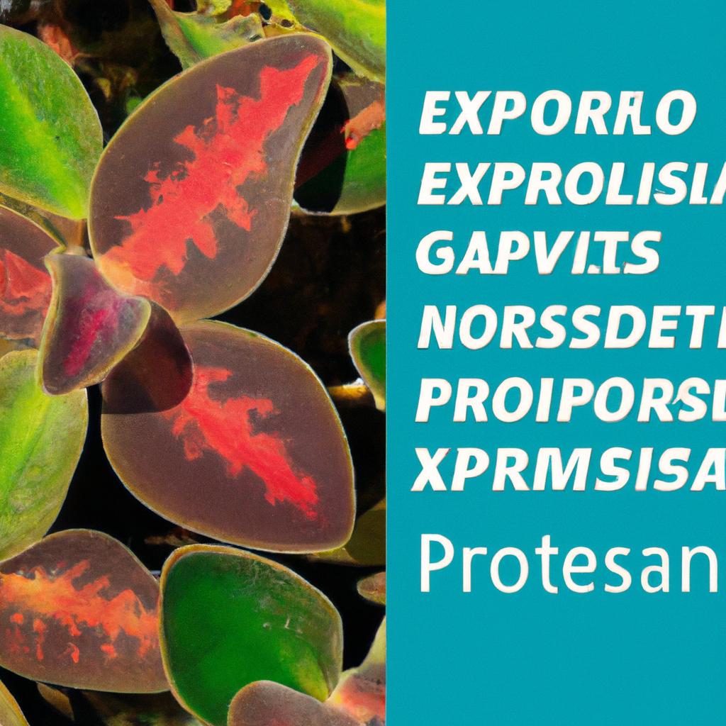 Incentivos e Parcerias para Impulsionar as Exportações de Plantas
